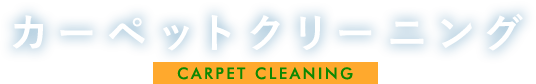 carpet-main-text carpet-main-text