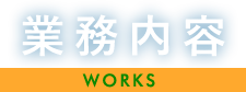 works-main-txt works-main-txt